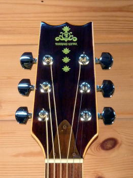 TAKEHARU Guitar WT-250 '754.jpg
